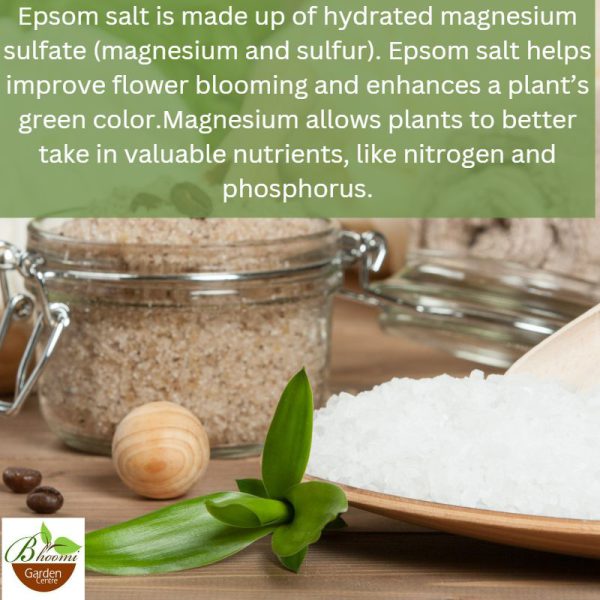 Epsom Salt For Plants - Image 2