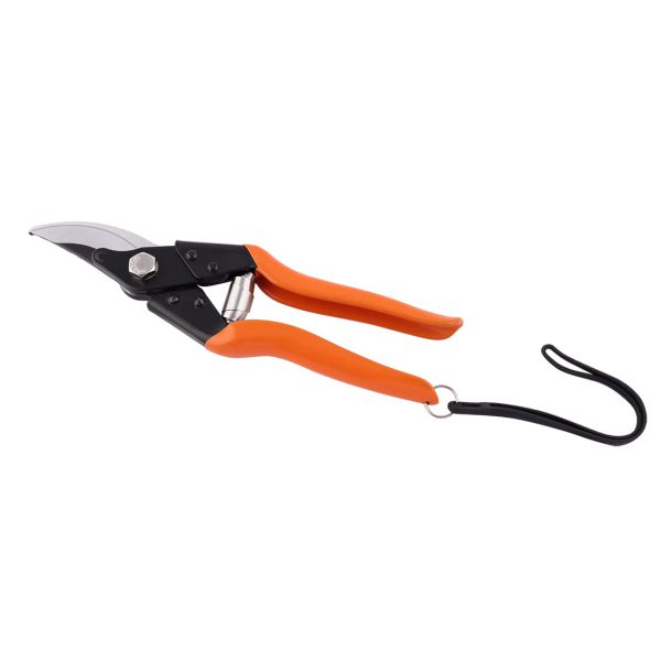 Falcon Pruning Secateur Major (Size 225mm) - Image 4