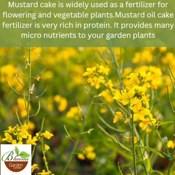 Mustard Cake For Plants - Image 2