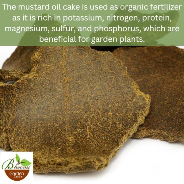 Mustard Cake For Plants - Image 3