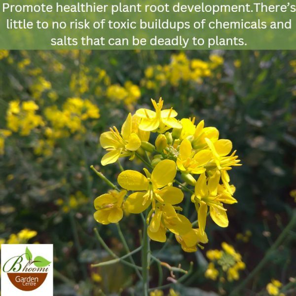 Mustard Cake For Plants - Image 4