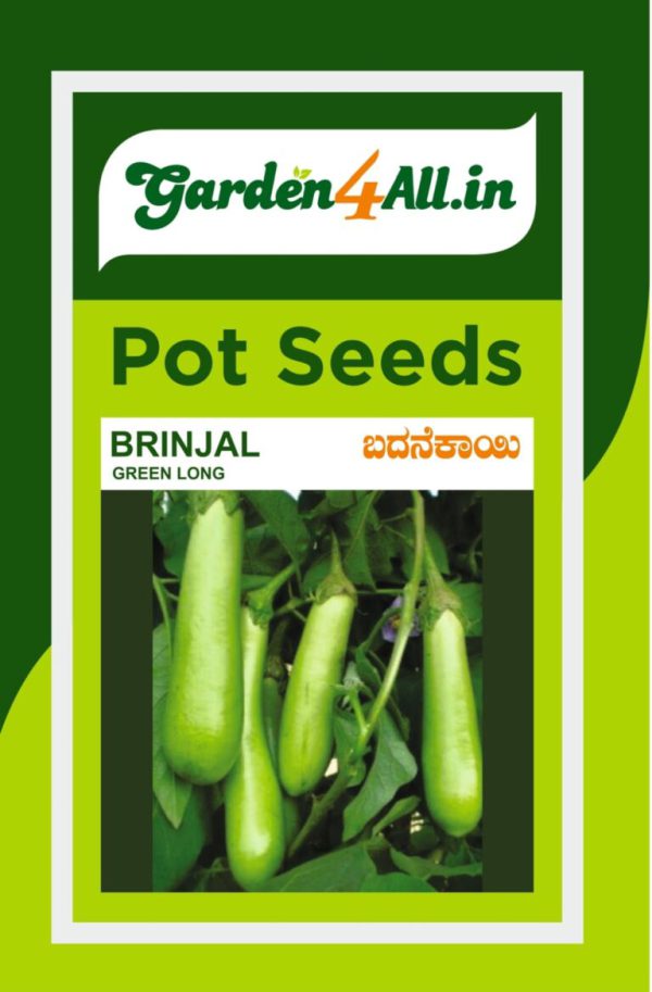 Brinjal Green Long Seeds