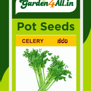 Celery Seeds