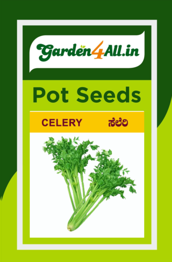 Celery Seeds