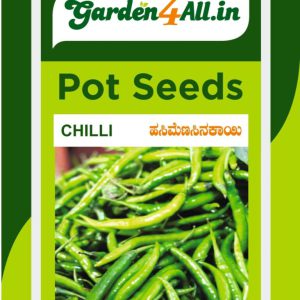 Chilli Seeds