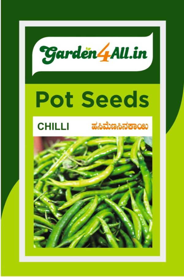 Chilli Seeds