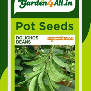 Dolichos Beans Seeds