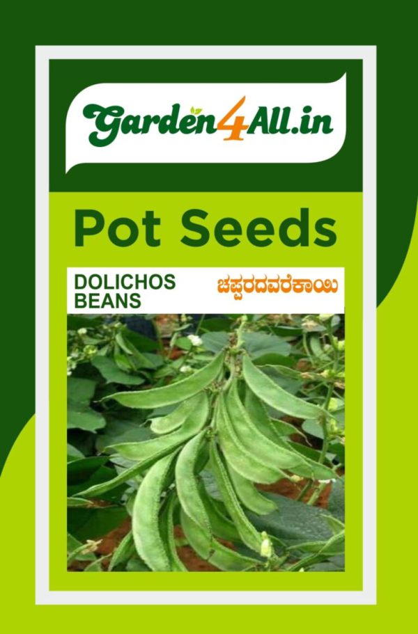 Dolichos Beans Seeds