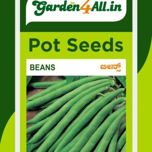 French Beans Seeds