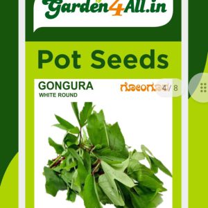 Gongura Seeds Roselle