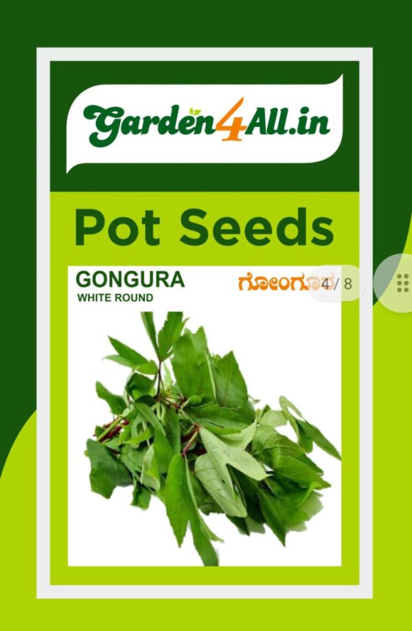 Gongura Seeds