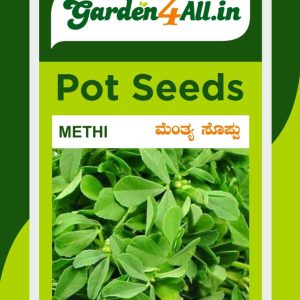 Methi Seeds