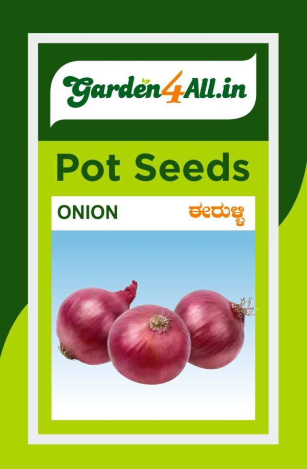 Onion Seeds