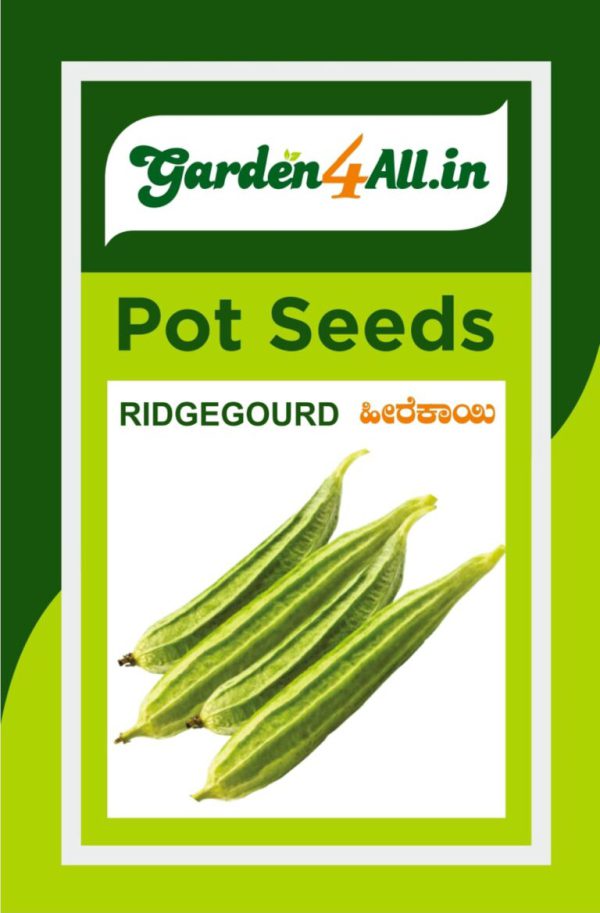 Ridge gourd Seeds