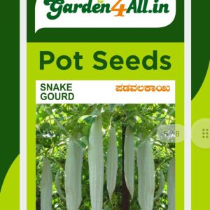 Snake Gourd Seeds