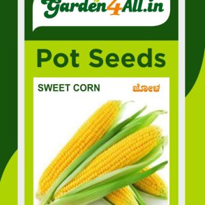 Sweet Corn Seeds