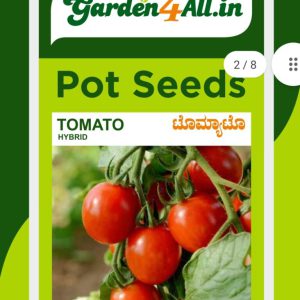 Tomato Hybrid Seeds (Solanum lycopersicum)