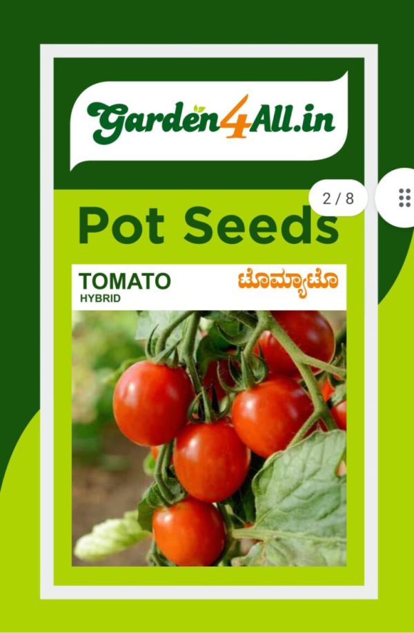 Tomato Hybrid Seeds (Solanum lycopersicum)