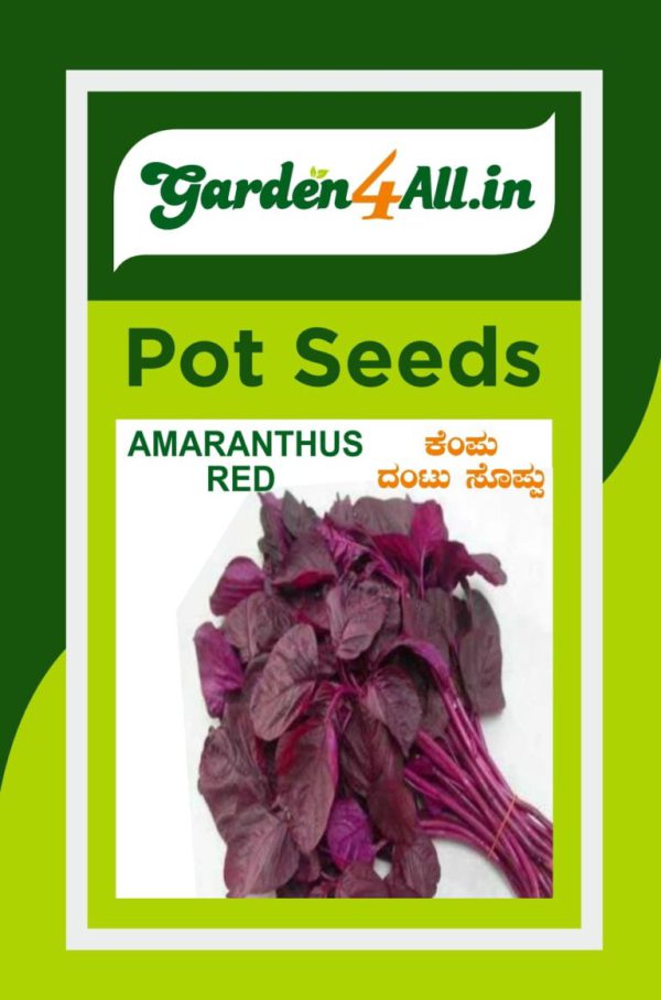 Amaranthus Red Seeds