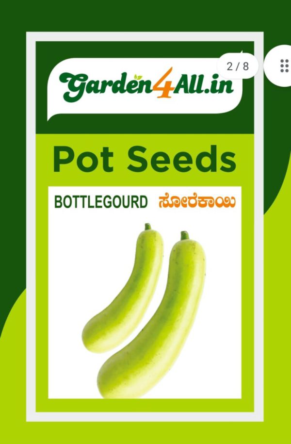 Bottle Gourd Seeds