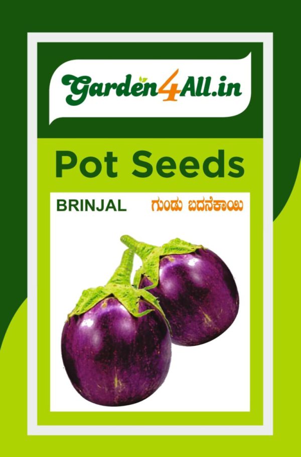 Brinjal Purple Round Seeds