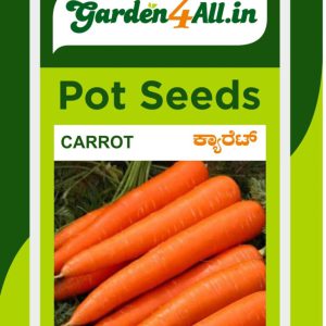 Carrot Seeds