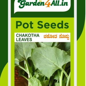 Chakotha Seeds Mountain Spinach Seeds