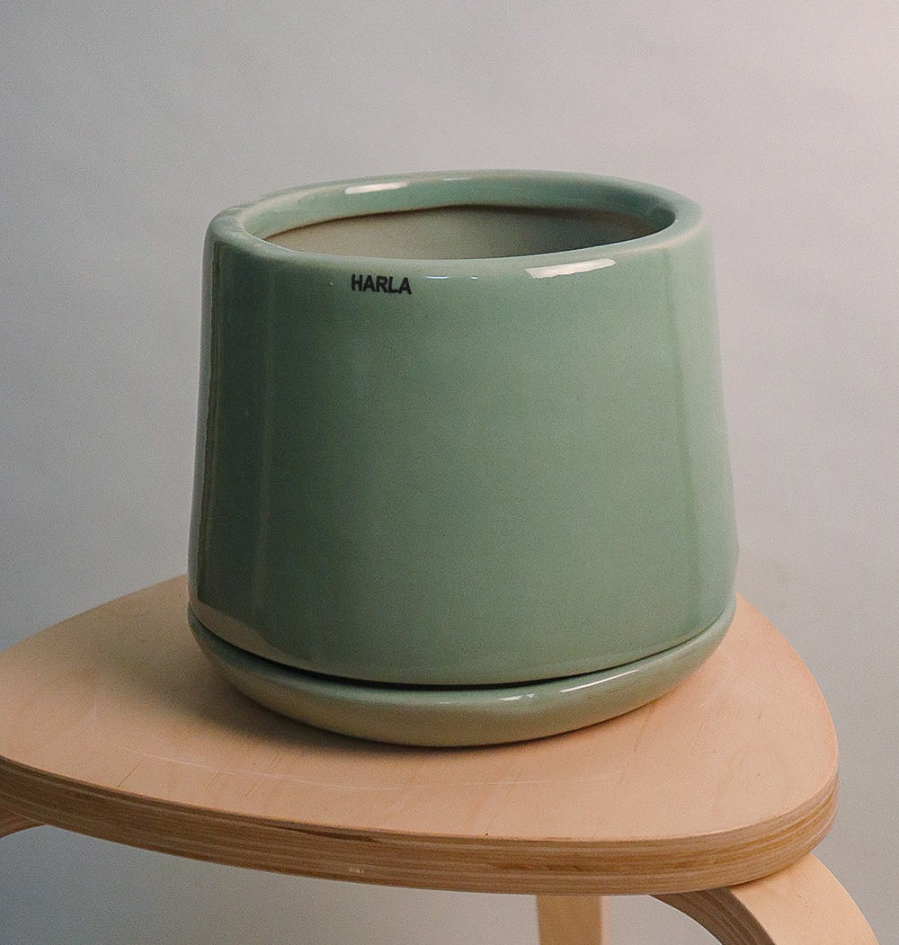 Monsoon Medley - Image 12