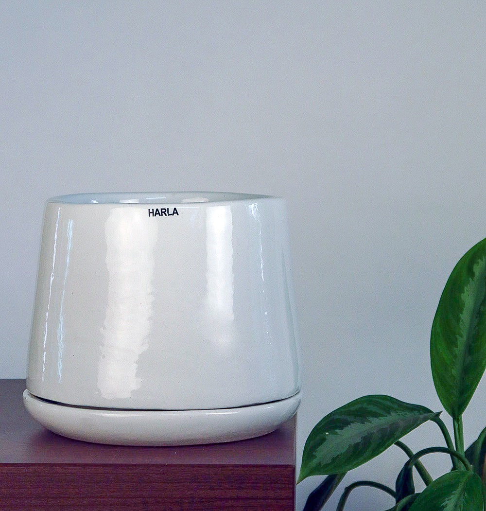 Monsoon Medley - Image 2