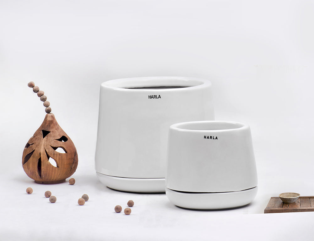 Monsoon Medley - Image 15