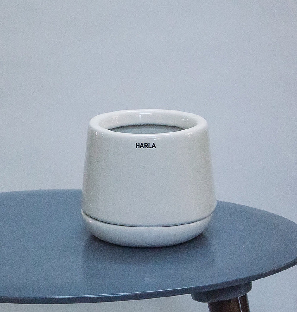 Monsoon Medley - Image 7