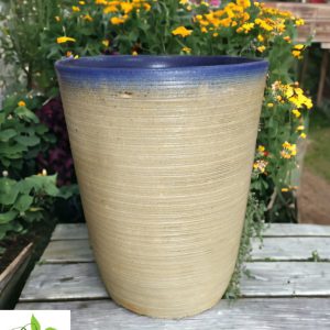 Rustic Tall Boy Planter with Blue Rim