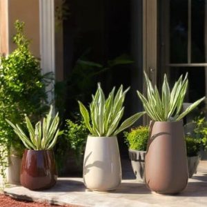Amore FRP Planter