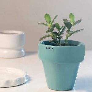 Small Ceramic Pot - The Dream Pot