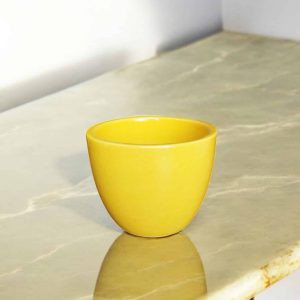 Apple Ceramic Pot - 4 inch dia