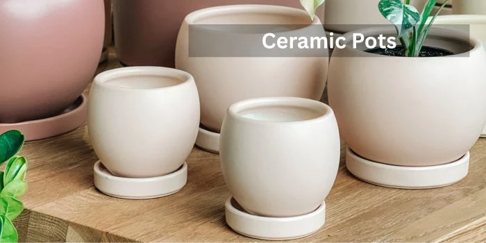 Ceramic Pots