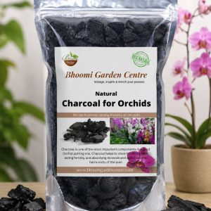 Charcoal for Orchids