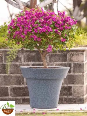 Classic Planter (Roto Molded)