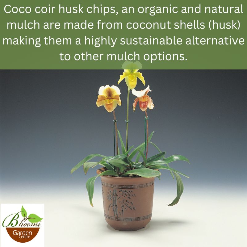 Cocochips for plants - Image 3