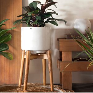 Crimson Sky White - With Wooden Stand