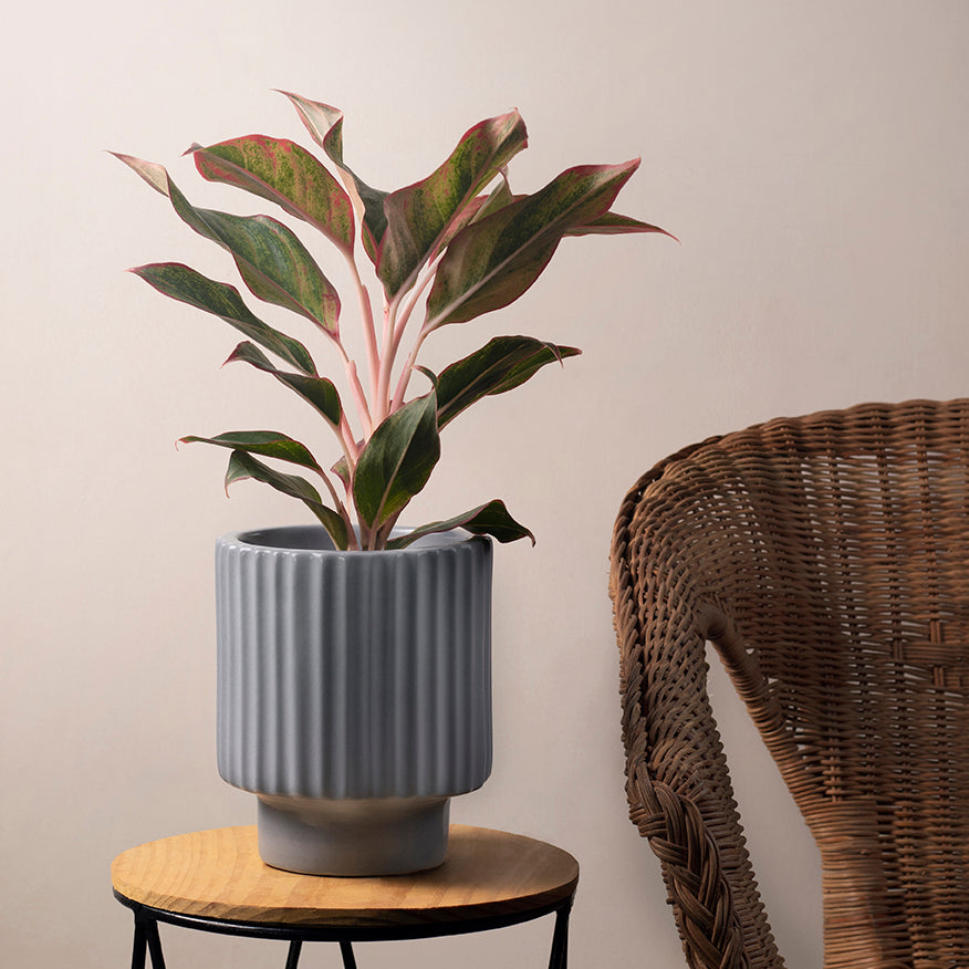 Dark Affinity - Image 17