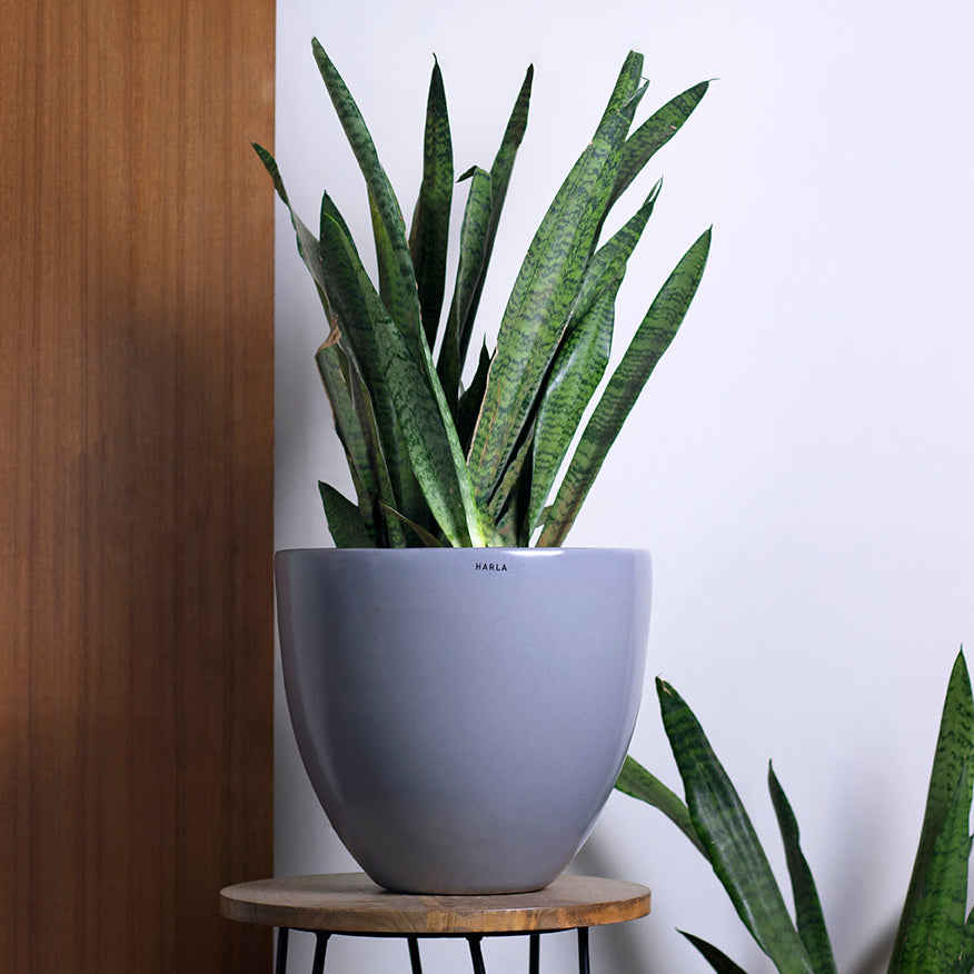 Ceramic Planters Echoing Eternity - Slim - Image 6
