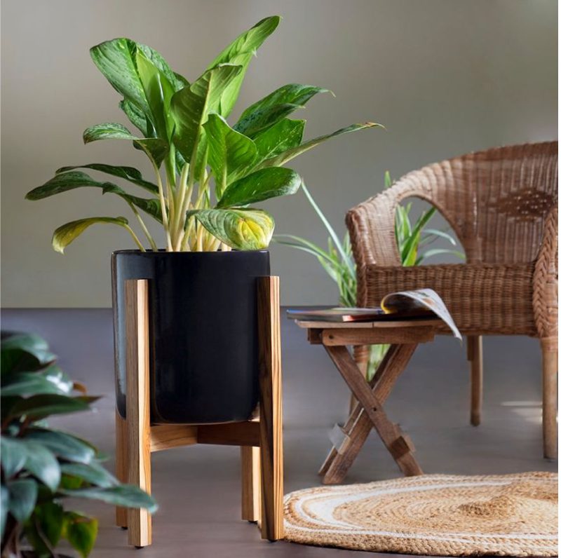 Gleaming-Stars-with-Wooden-Stand.jpg