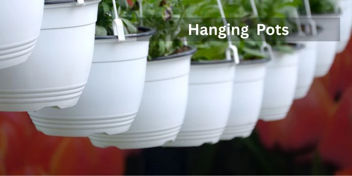 Hanging Pots