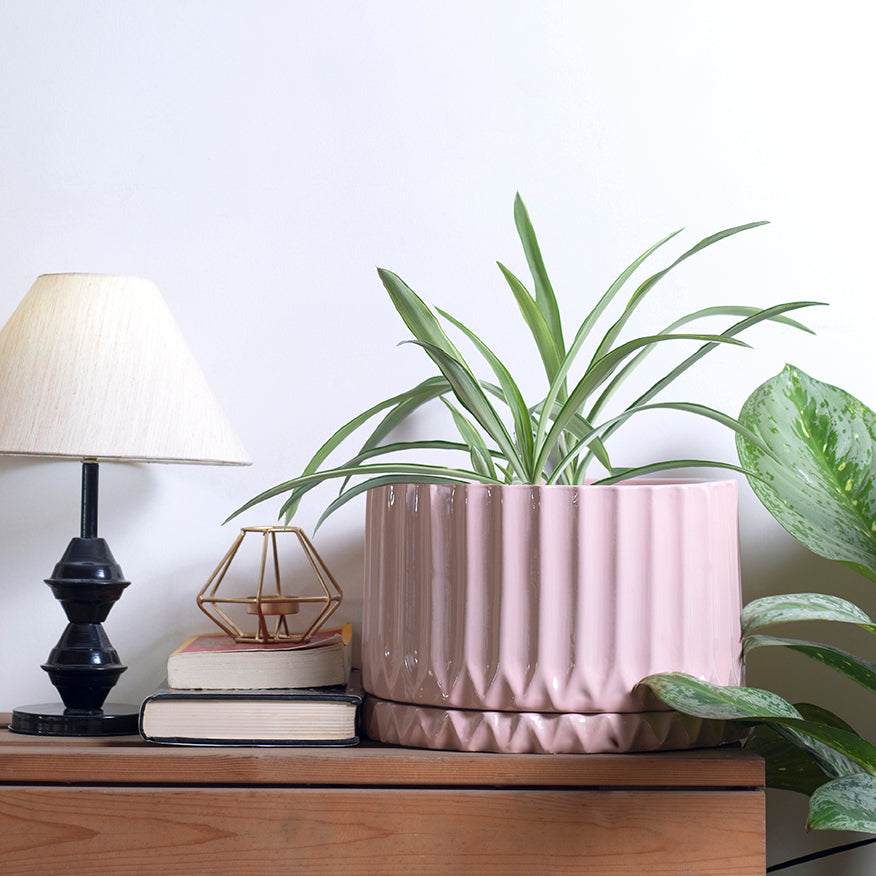 Big Ceramic Pots For Indoor Plants Fleeting Bliss - Image 12