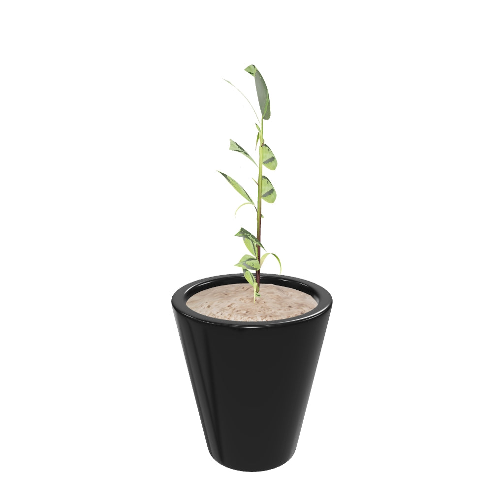 Ceramic Planter Love Bite - Image 10