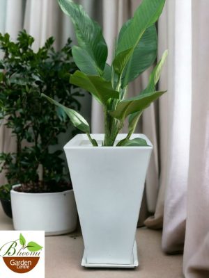 Lobby Planter (Roto Molded)