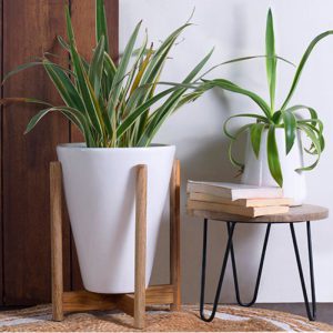 Love Bite - With Wooden Stand