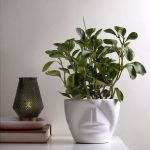 Ceramic Plant Pots Unwavered Love - Uncle