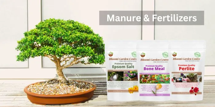 Manure and Fertilizers